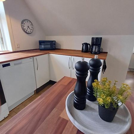 Grand Luxury Apartment In The Center Of Hoerring Йёрринг Экстерьер фото
